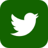 Twitter Logo Icon Dark Green